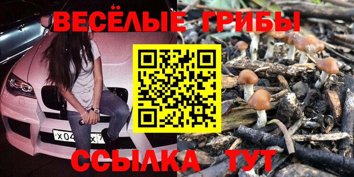 Псилоцибиновые грибы GOLDEN TEACHER Химки