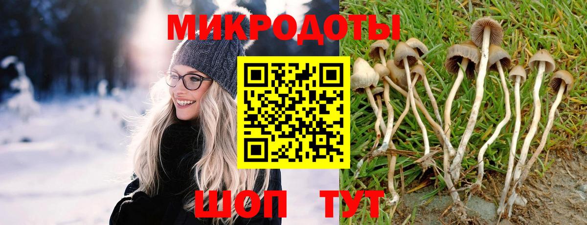 Химки  Псилоцибиновые грибы мицелий  Псилоцибиновые грибы GOLDEN TEACHER  Вход с VPN 